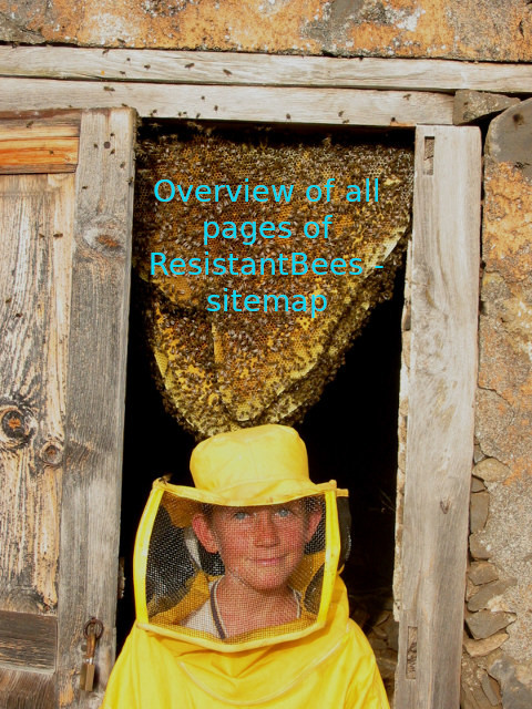 Overview of all pages of ResistantBees – sitemap